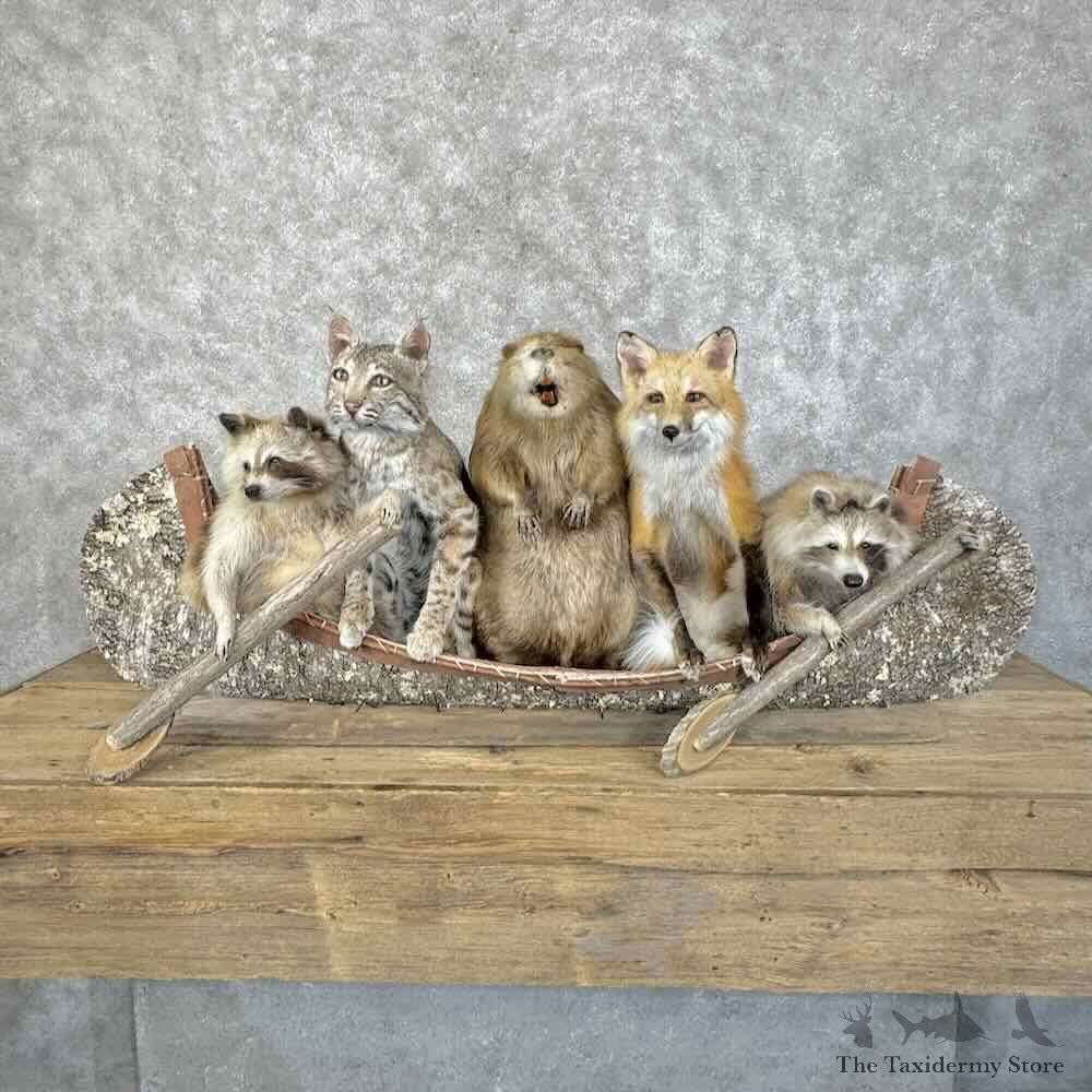 Canoeing Pals Novelty Mount For Sale #31384 @ The Taxidermy Store