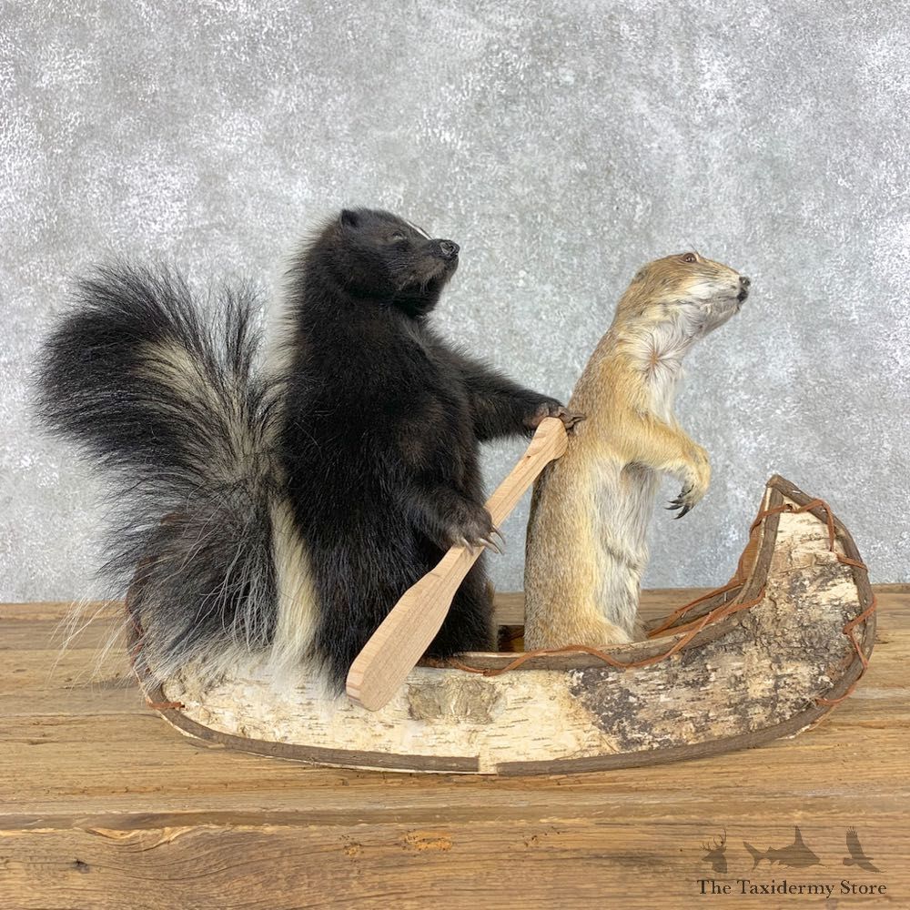 Canoeing Prairie Dog and Skunk Novelty Mount For Sale #21491 @ The Taxidermy Store