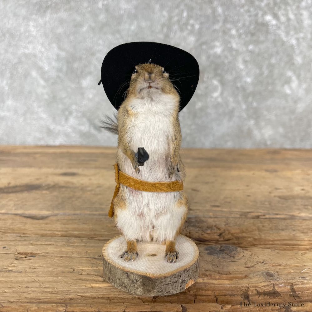 Cowboy Chipmunk Novelty Mount For Sale #26104 @ The Taxidermy Store