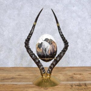 Ostrich Egg & Impala Horn Mantle Decor For Sale #14396 @ The Taxidermy Store