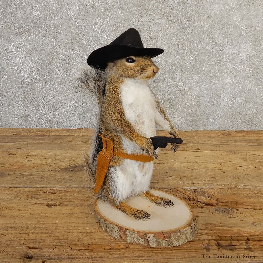 Cowboy Squirrel Novelty Mount For Sale #20712 @ The Taxidermy Store