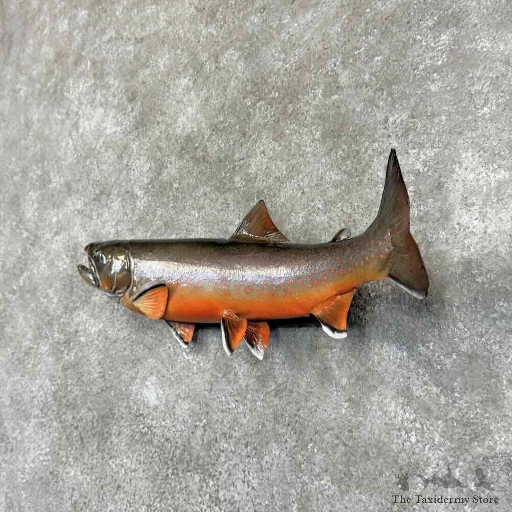 Arctic Char Fish Mount For Sale #30889 @ The Taxidermy Store