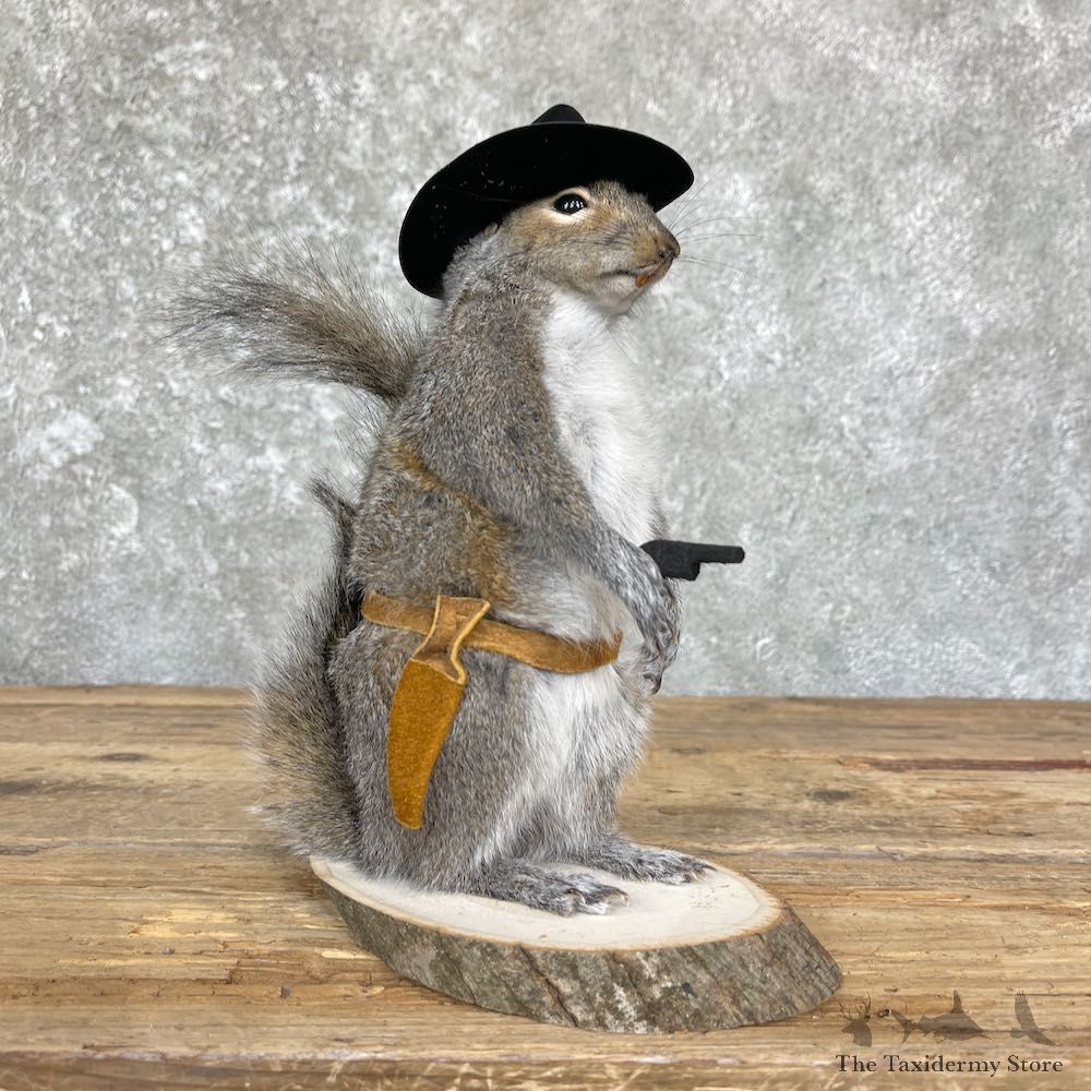Cowboy Squirrel Novelty Mount For Sale #26390 @ The Taxidermy Store