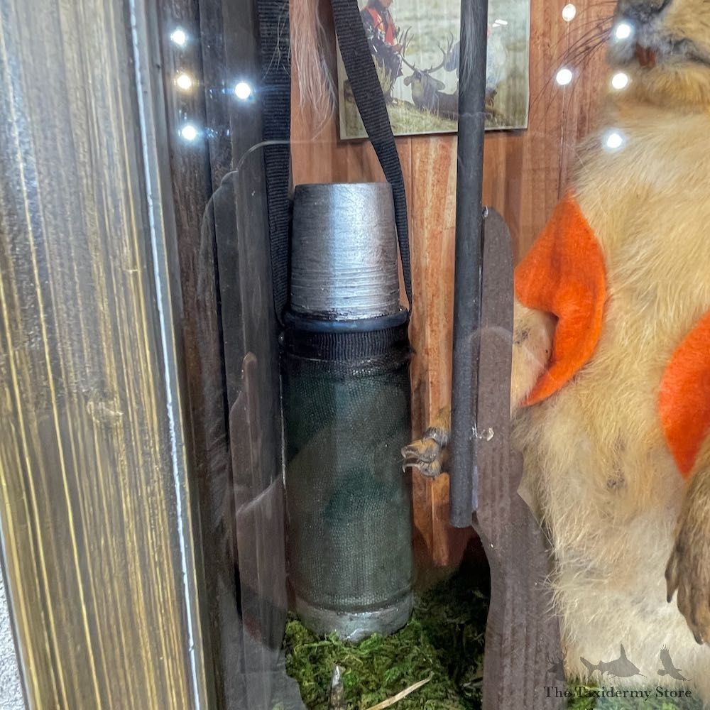 Novelty Fox Squirrel For Sale #25447 @ The Taxidermy Store