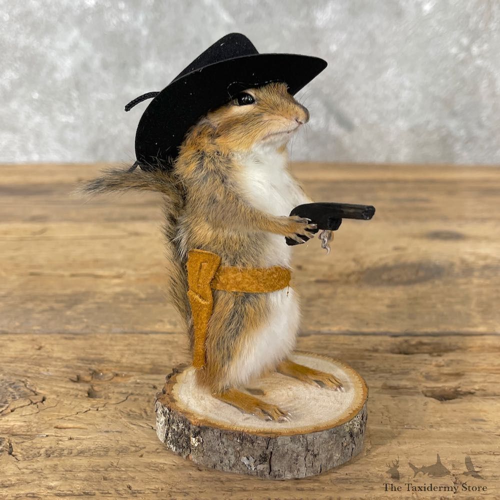 Cowboy Chipmunk Novelty Mount For Sale #26097 @ The Taxidermy Store
