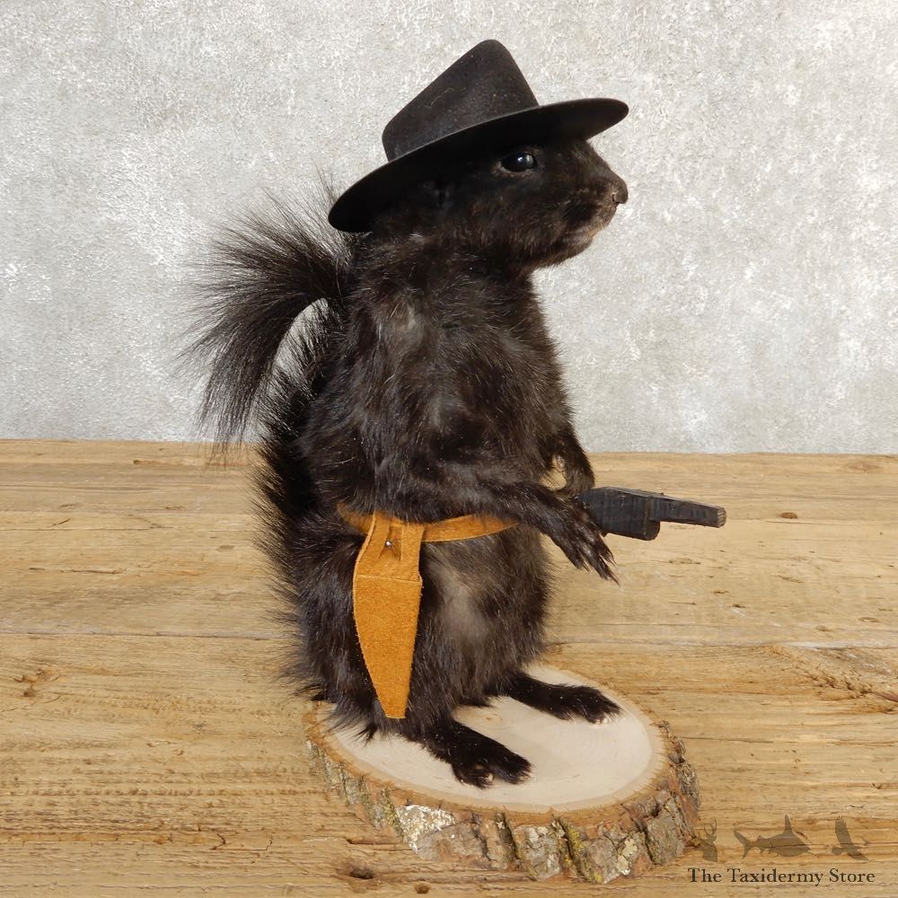 Cowboy Squirrel Novelty Mount For Sale #20737 @ The Taxidermy Store