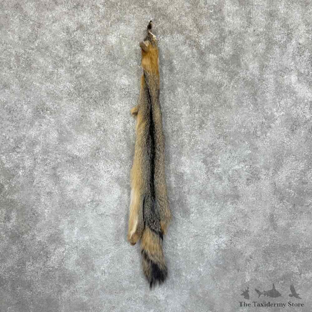 Grey Fox Tanned Hide For Sale #30962 @ The Taxidermy Store