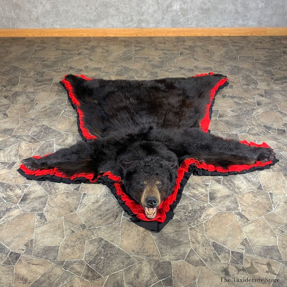 Black Bear Full-Size Rug For Sale #24009 @ The Taxidermy Store
