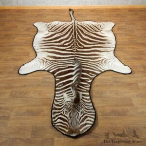 African Zebra Full-Size Taxidermy Rug For Sale #17870 @ The Taxidermy Store