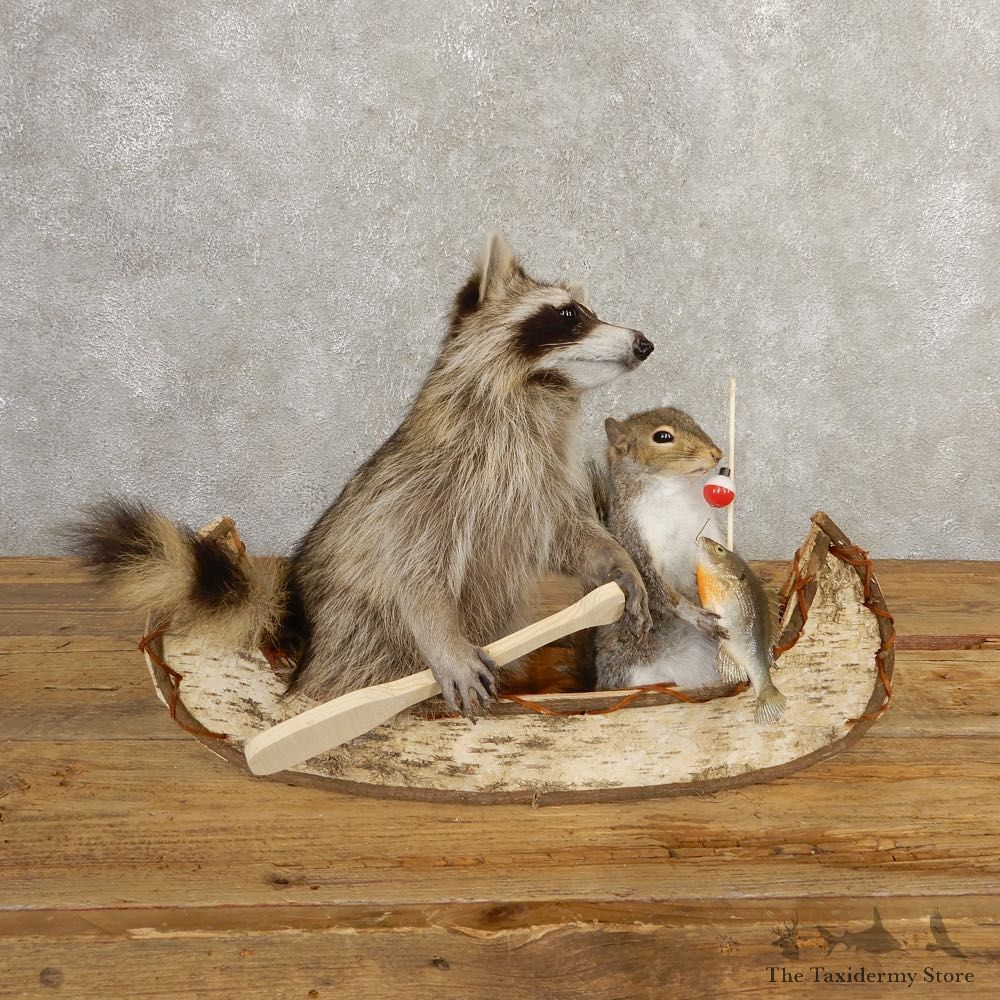 Canoeing Raccoon And Fishing Squirrel Novelty Mount For Sale #20746 @ The Taxidermy Store