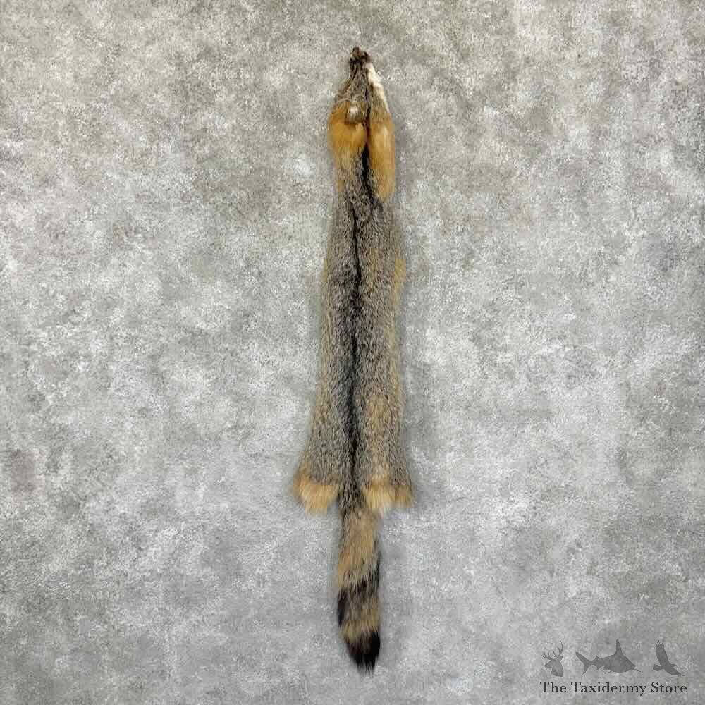 Grey Fox Tanned Hide For Sale #30956 @ The Taxidermy Store