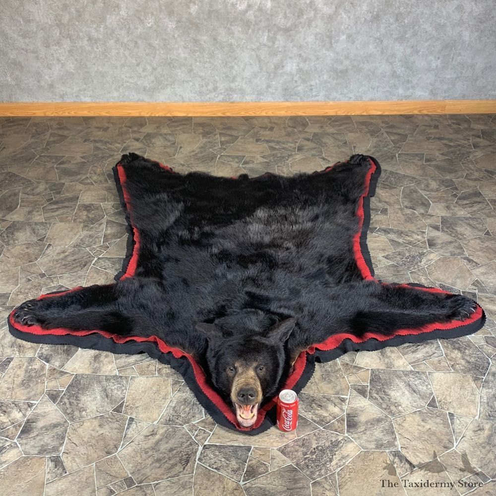 Black Bear Full-Size Rug For Sale #24003 @ The Taxidermy Store