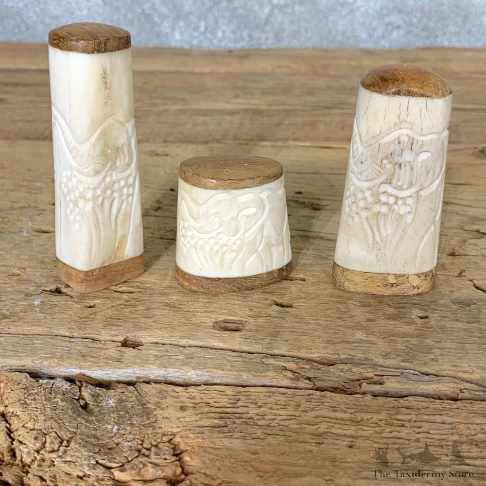 Carved Bone Salt And Pepper Shakers For Sale #21805 @ The Taxidermy Store