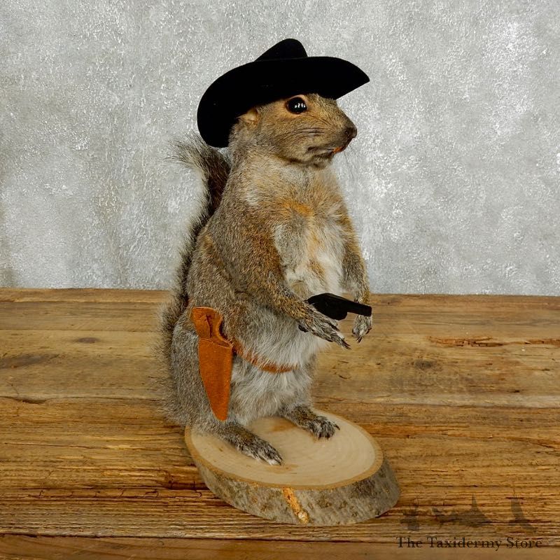 Cowboy Squirrel Novelty Mount For Sale #17622 @ The Taxidermy Store