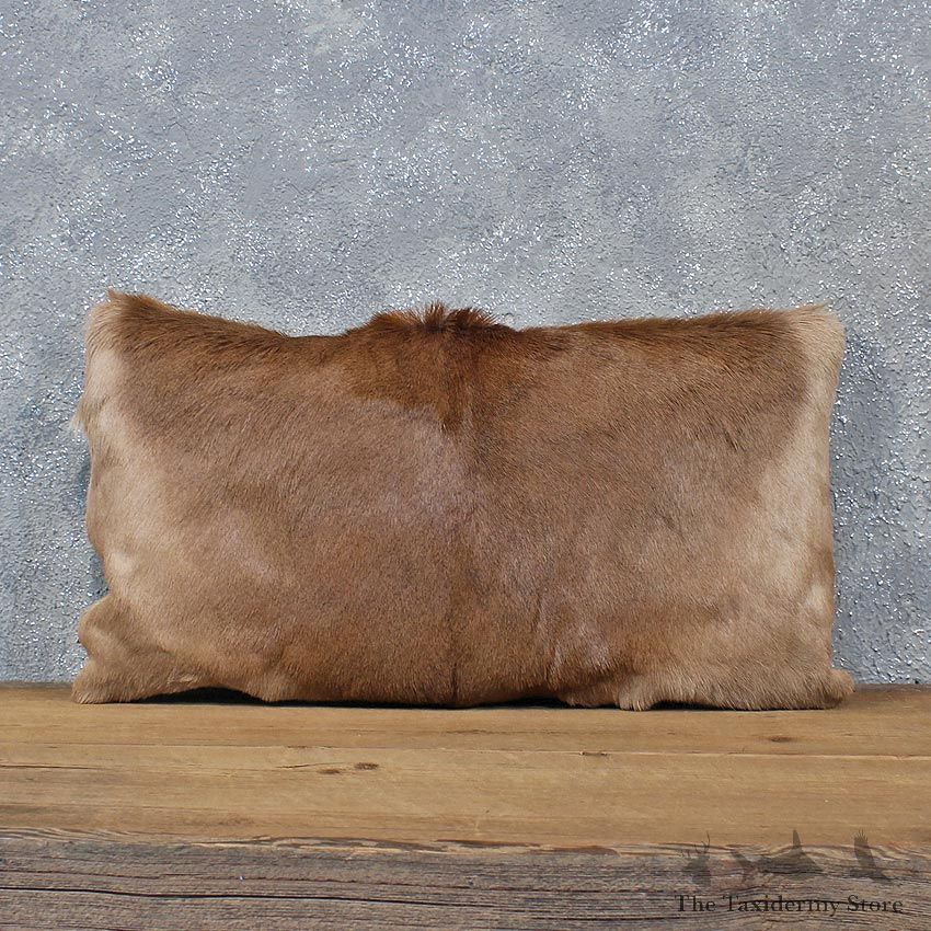 African Impala Hide Pillow #12052 For Sale @ The Taxidermy Store