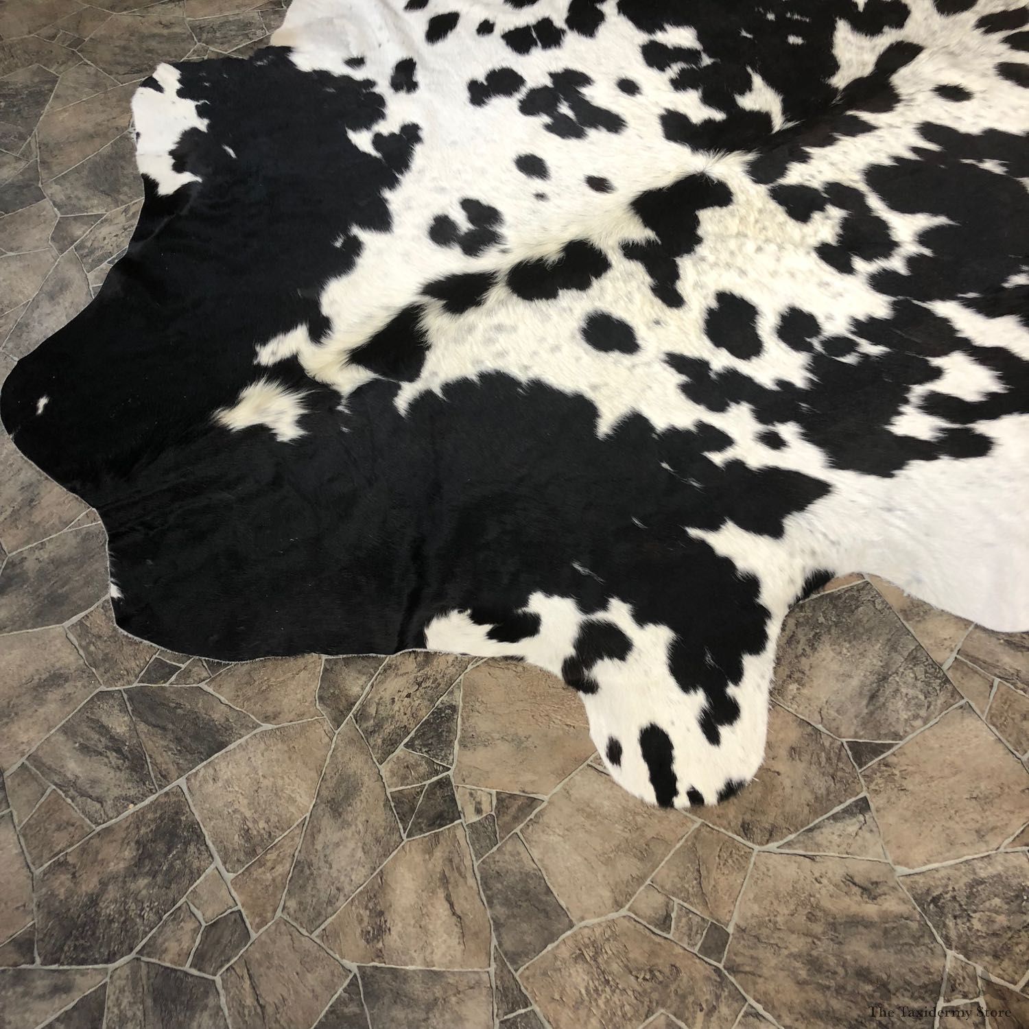 Black and White Cowhide Taxidermy Tanned Skin For Sale #20089 @ The Taxidermy Store