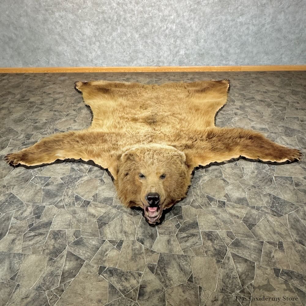 Kodiak Brown Bear Full-Size Rug Mount For Sale #28899 @ The Taxidermy Store