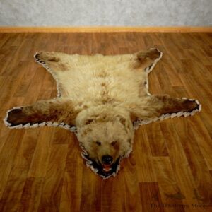 Toklat Grizzly Bear Taxidermy Rug Mount For Sale #17499 @ The Taxidermy Store