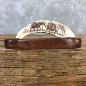 Scrimshawed Warthog Tooth For Sale #19944 @ The Taxidermy Store