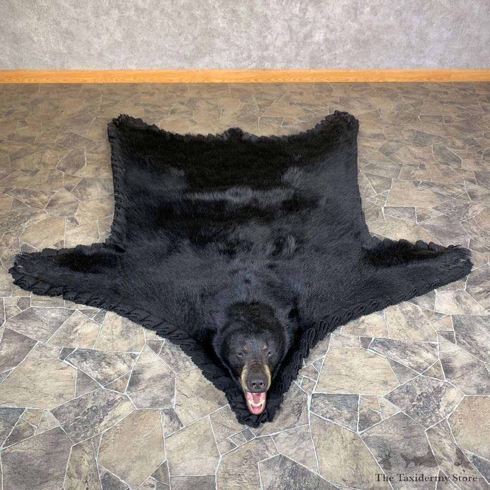 Black Bear Full-Size Rug For Sale #23667 @ The Taxidermy Store