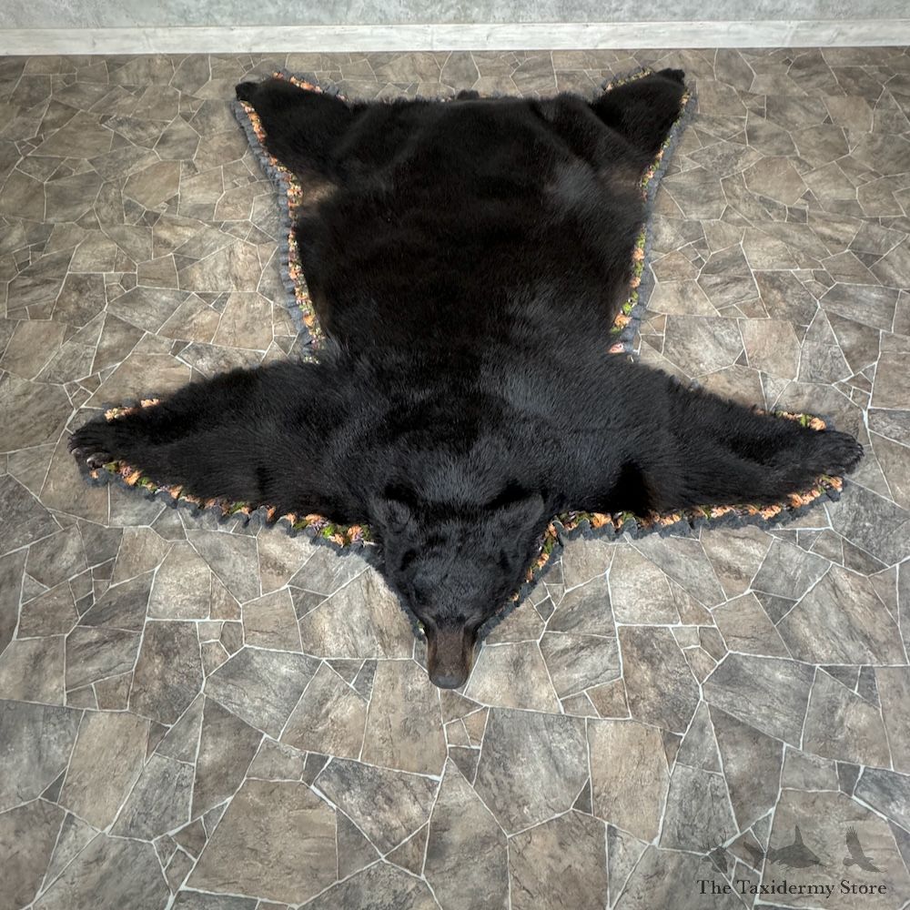 Black Bear Full-Size Rug For Sale #29313 @ The Taxidermy Store