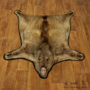 Javelina Full Rug Taxidermy #17431 For Sale @ The Taxidermy Store