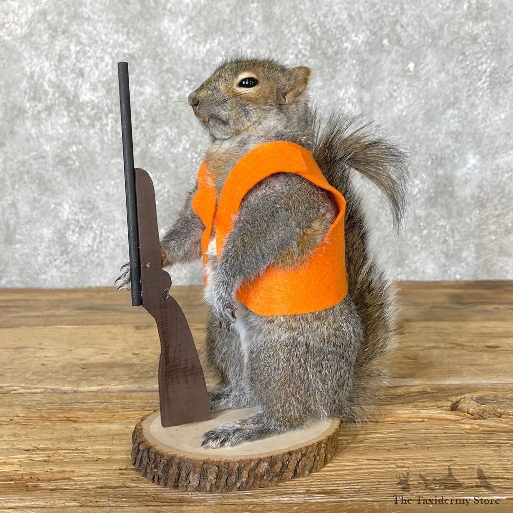 Hunting Squirrel Novelty Mount For Sale #25021 @ The Taxidermy Store