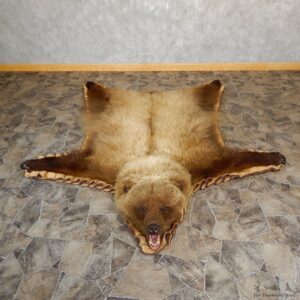 Grizzly Bear Taxidermy Rug Mount For Sale #19261 @ The Taxidermy Store