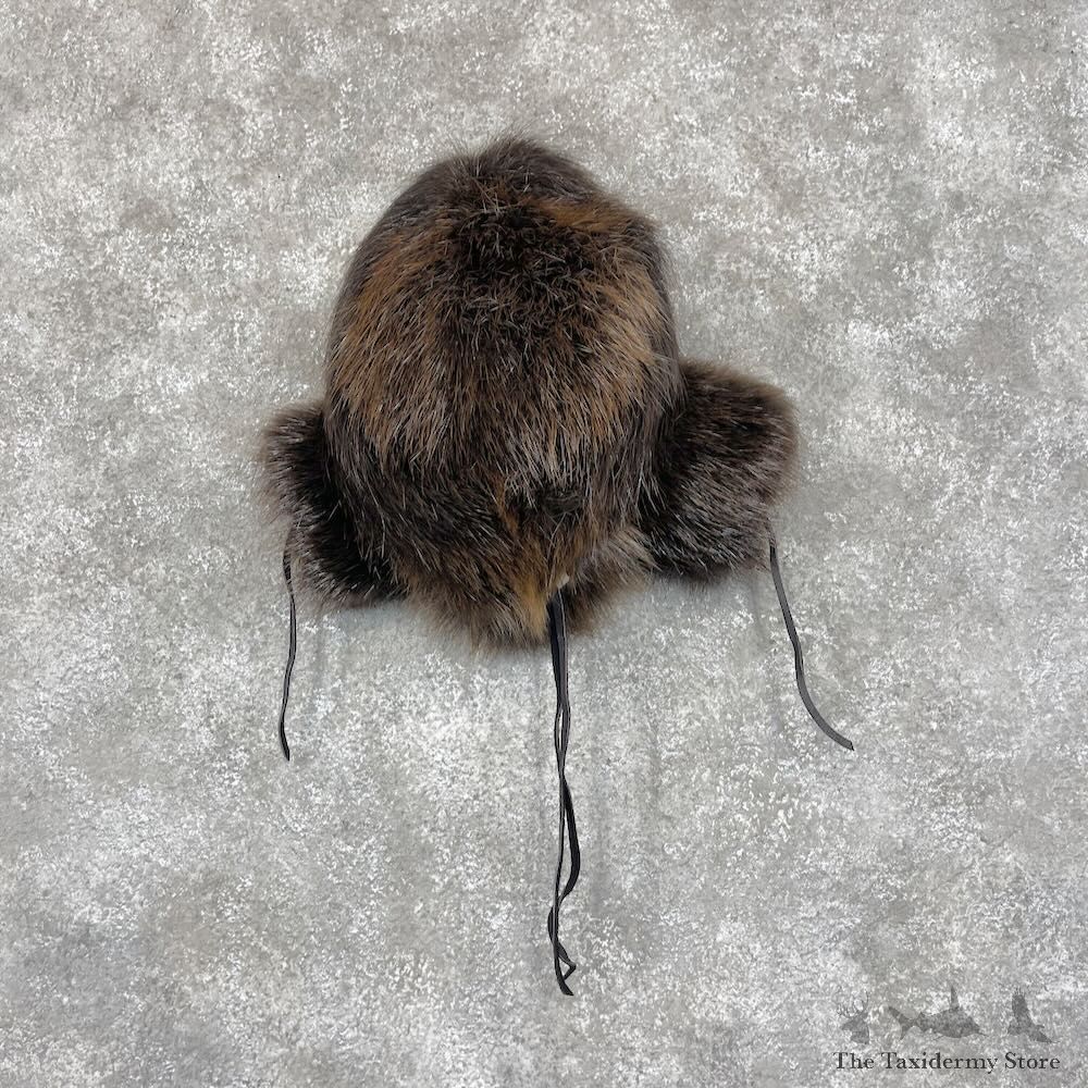 North American Beaver Pelt Hat For Sale #28723 @ The Taxidermy Store