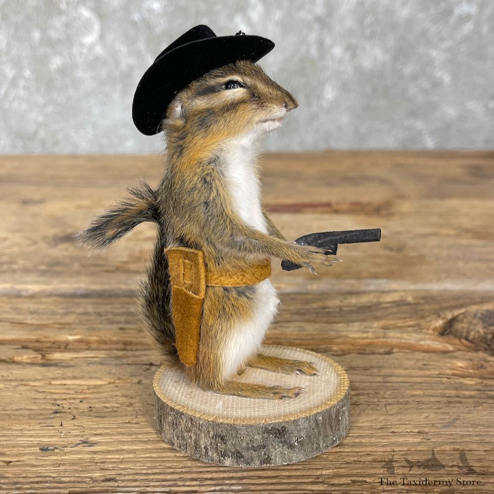 Cowboy Chipmunk Novelty Mount For Sale #26114 @ The Taxidermy Store