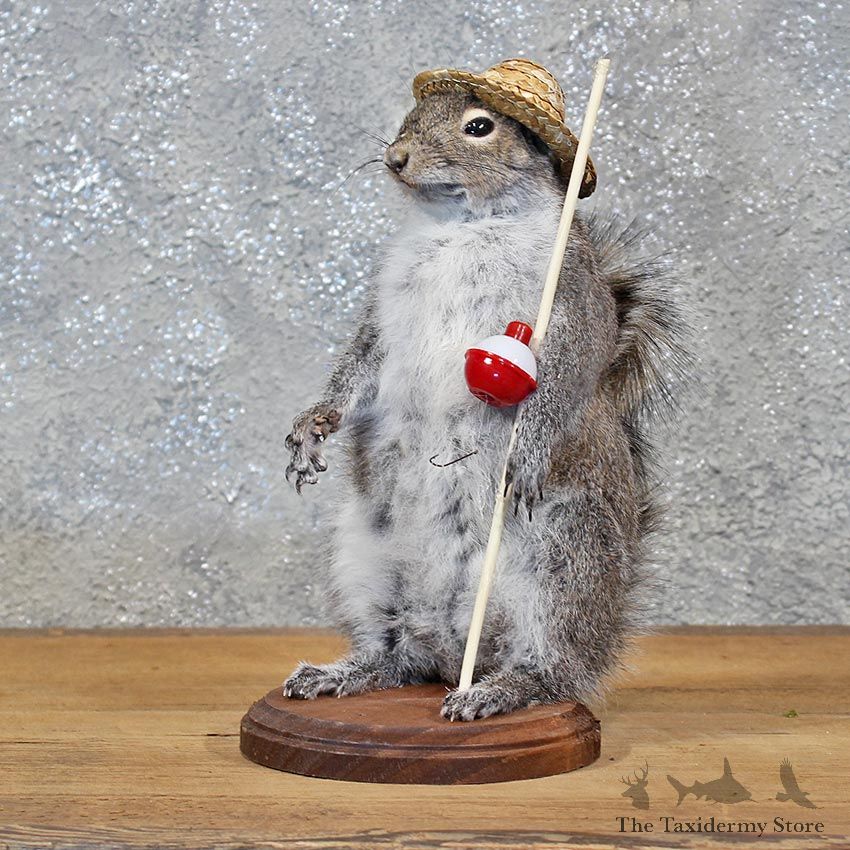 Novelty Fishing Squirrel Mount #11930 For Sale @ The Taxidermy Store