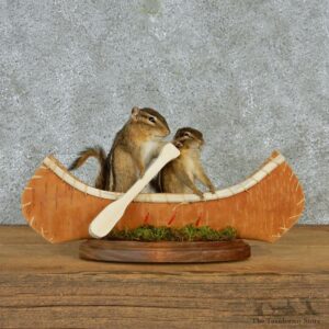 Novelty Canoeing Chipmunks #12936 For Sale @ The Taxidermy Store