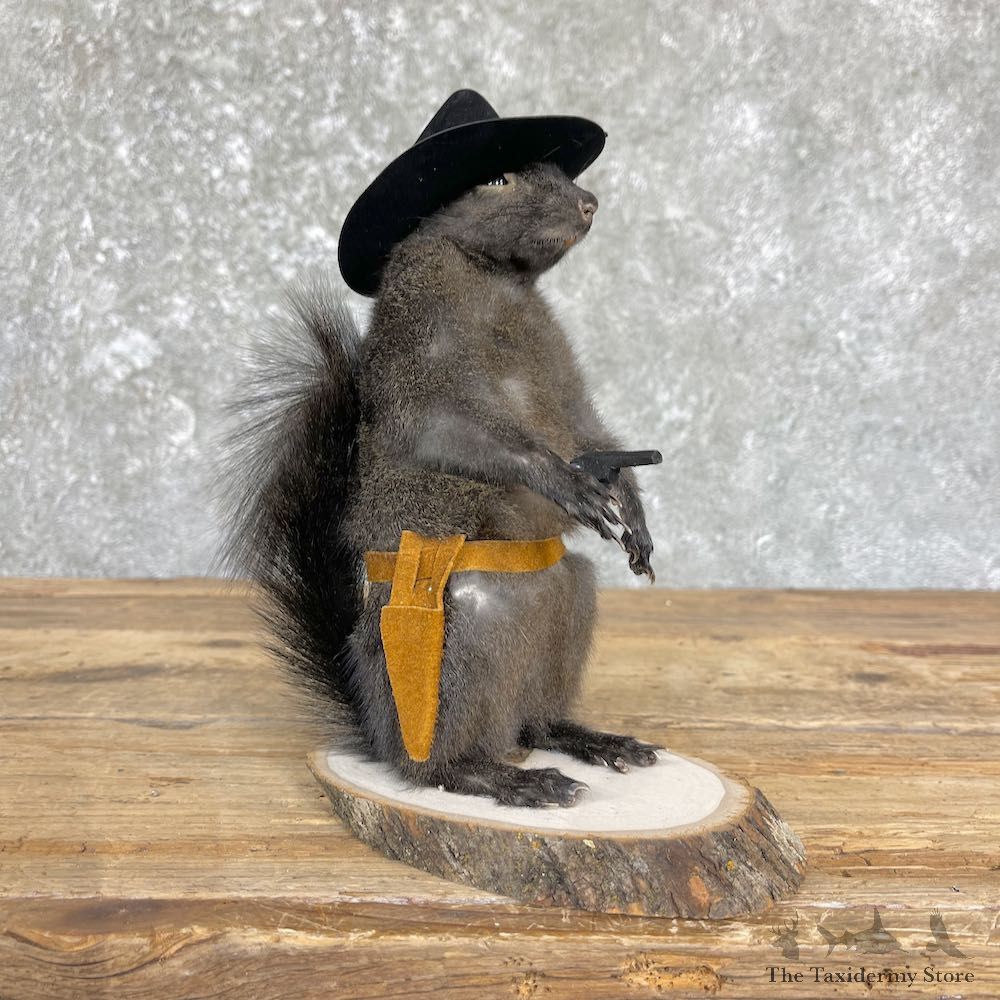 Cowboy Squirrel Novelty Mount For Sale #26387 @ The Taxidermy Store