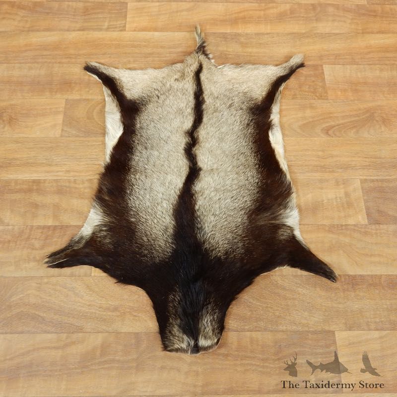 Goat Hide Taxidermy Tanned Skin For Sale #17887 @ The Taxidermy Store