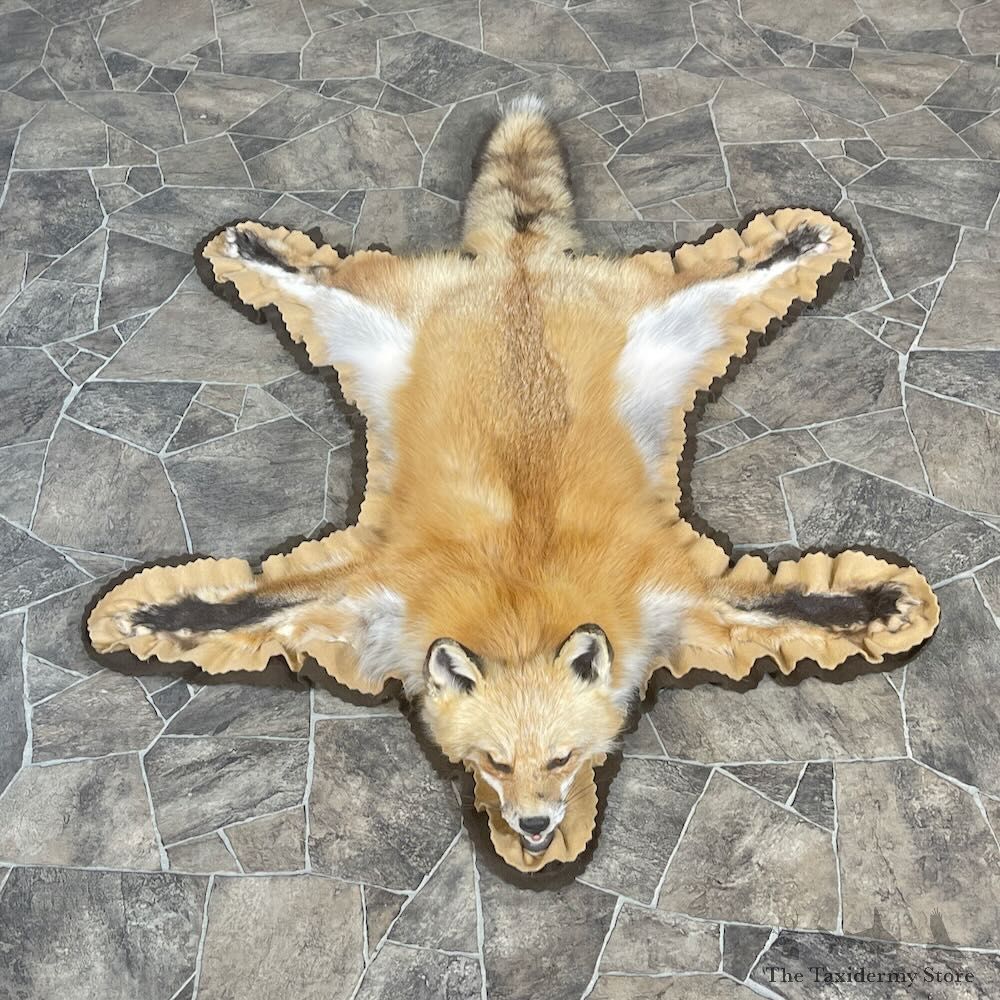 Red Fox Full Rug Mount For Sale #27861 @ The Taxidermy Store