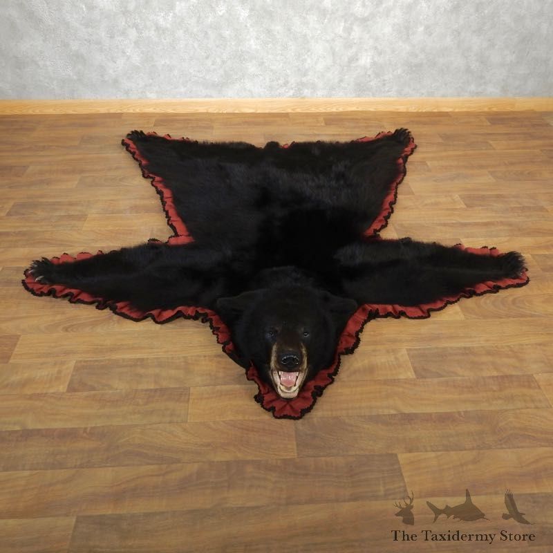 Black Bear Full-Size Rug For Sale #17854 @ The Taxidermy Store