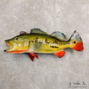 Peacock Bass Fish Mount For Sale #20848 @ The Taxidermy Store