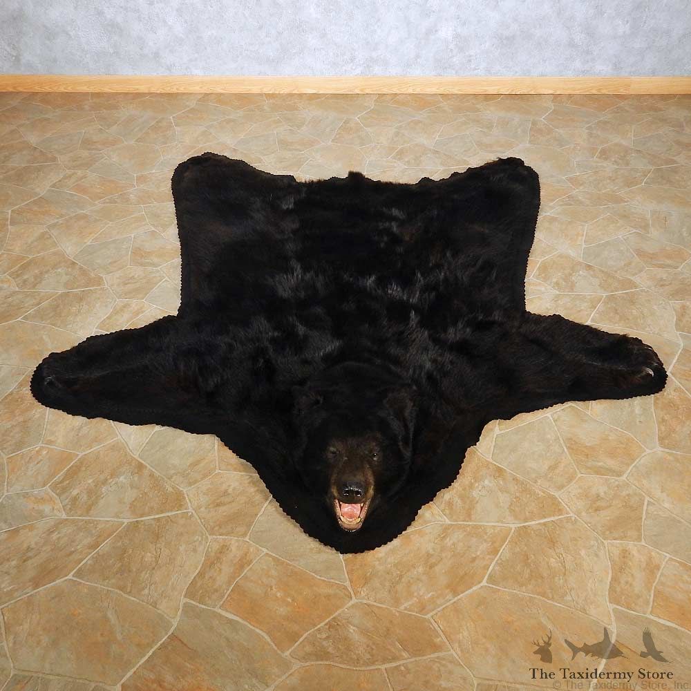 Black Bear Full Size Rug For Sale #14601 @ The Taxidermy Store
