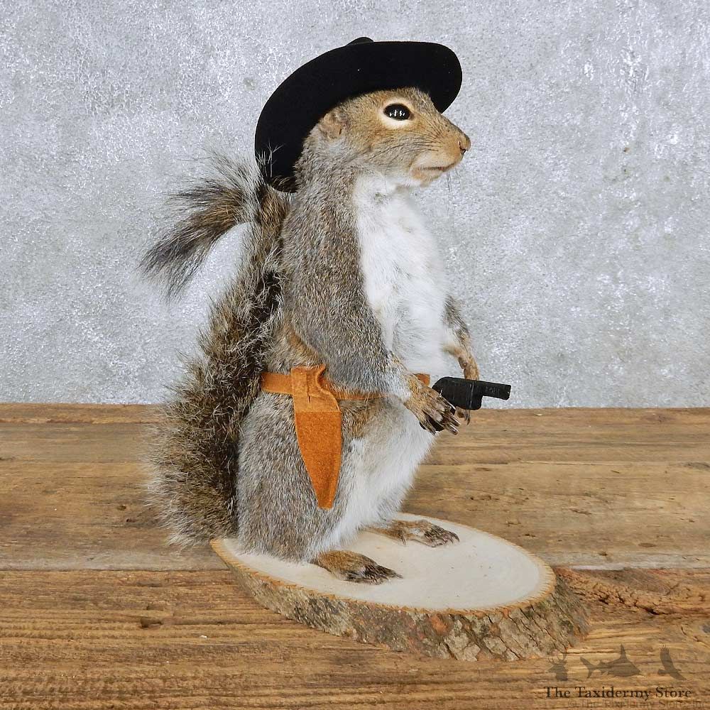 Cowboy Grey Squirrel Mount For Sale #14877 @ The Taxidermy Store