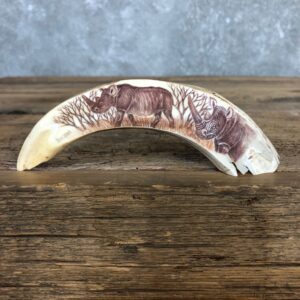 Scrimshawed Warthog Tooth For Sale #19945 @ The Taxidermy Store