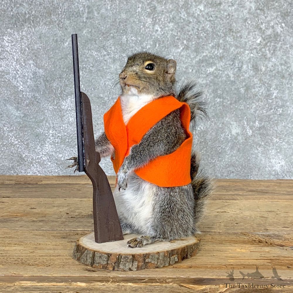 Hunting Squirrel Novelty Mount For Sale #22941 @ The Taxidermy Store