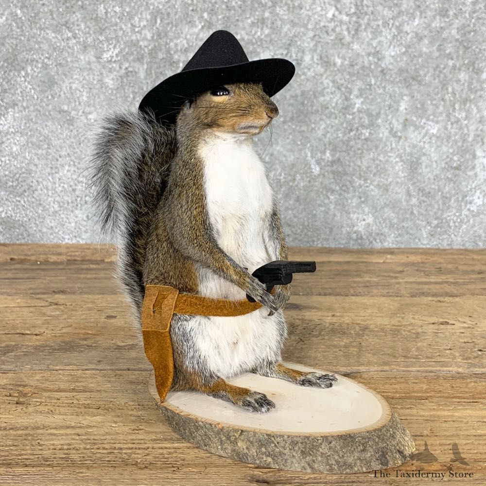 Cowboy Squirrel Novelty Mount For Sale #22439 @ The Taxidermy Store