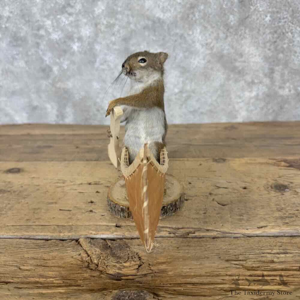 Canoeing Red Pine Squirrel Novelty Mount For Sale #31611 @ The Taxidermy Store