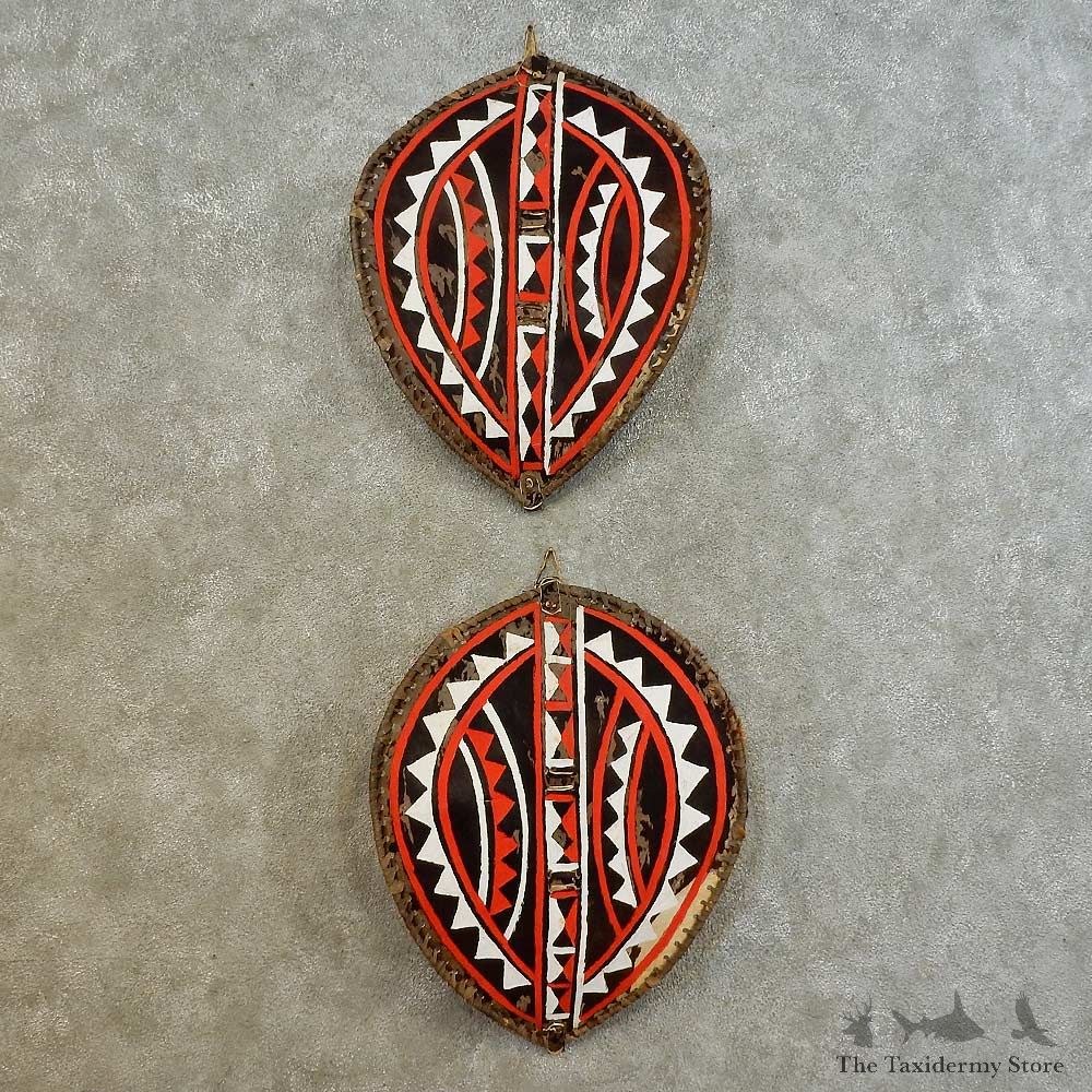 African Massai Warrior Shield Pair For Sale #16533 @ The Taxidermy Store