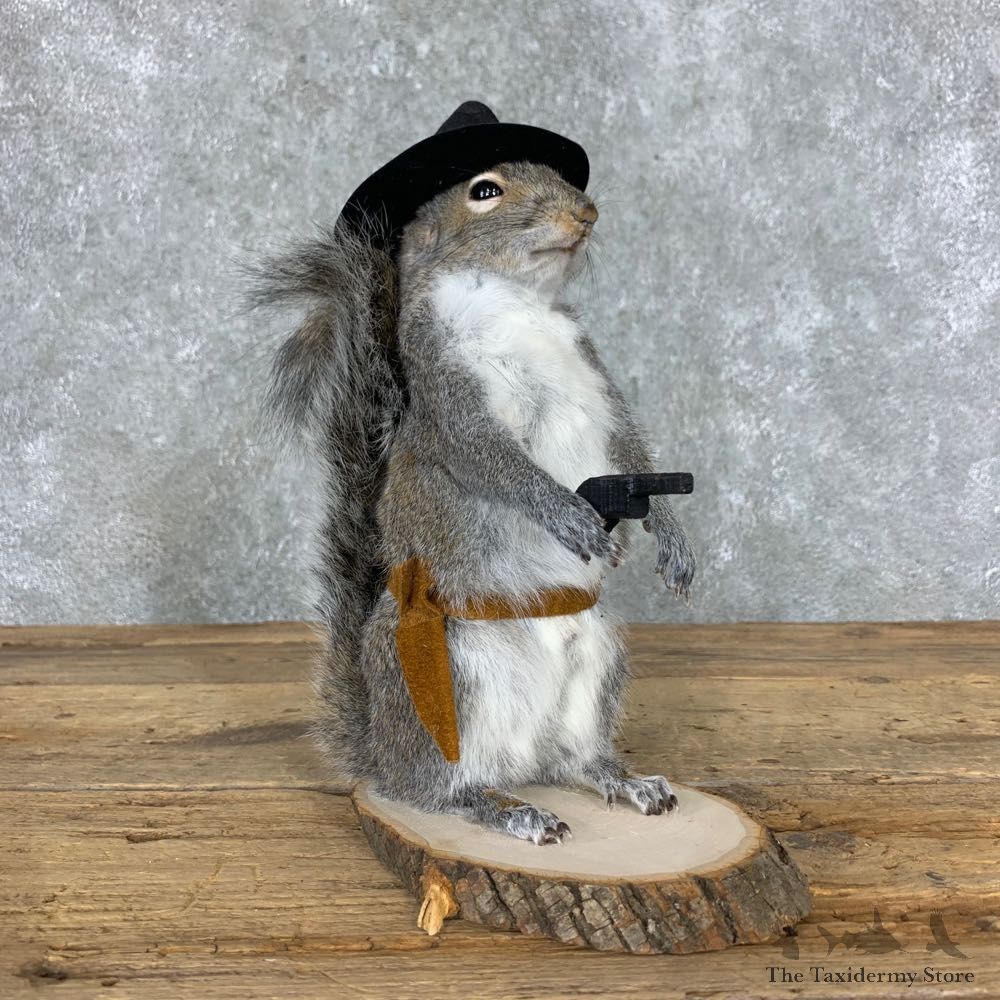 Cowboy Squirrel Novelty Mount For Sale #23055 @ The Taxidermy Store