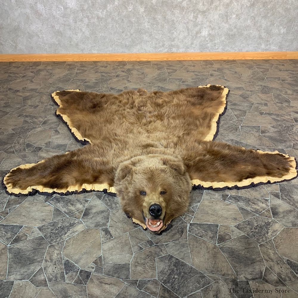 Grizzly Bear Taxidermy Rug Mount For Sale #21979 @ The Taxidermy Store
