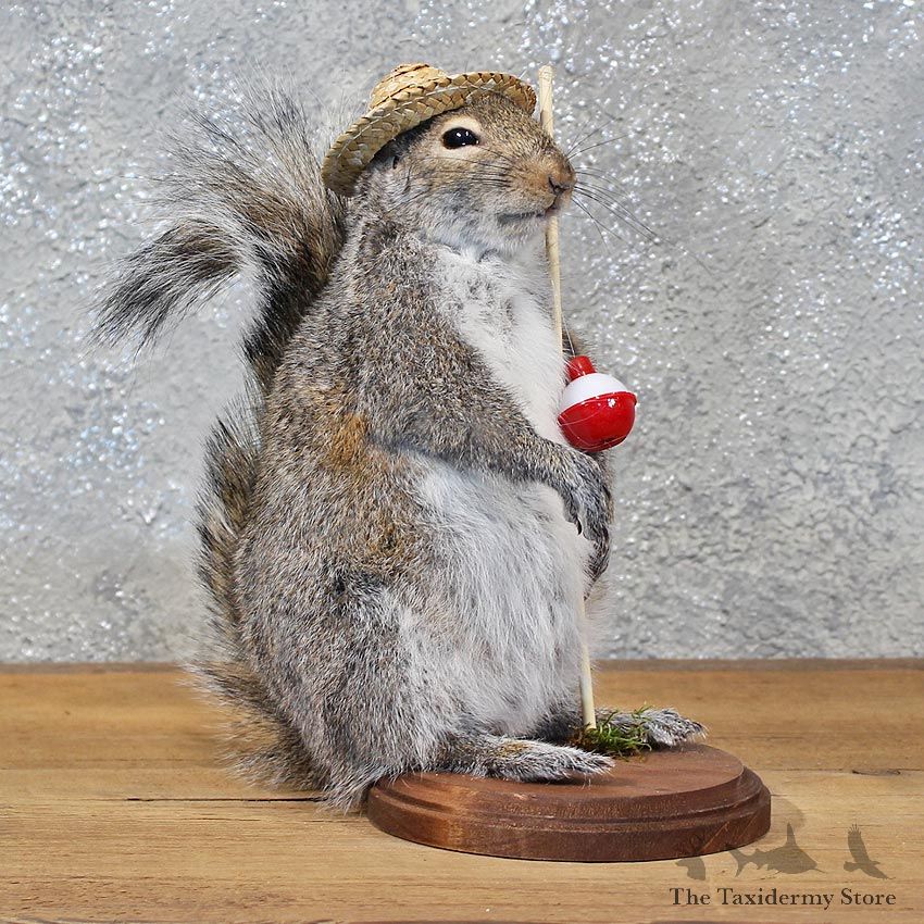 Novelty Fishing Squirrel Mount #11925 For Sale @ The Taxidermy Store