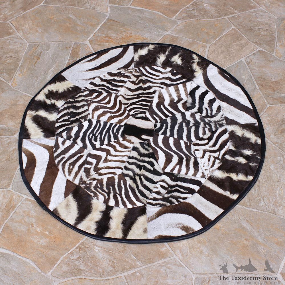 African Zebra Circle Rug Taxidermy Mount #12339 For Sale @ The Taxidermy Store