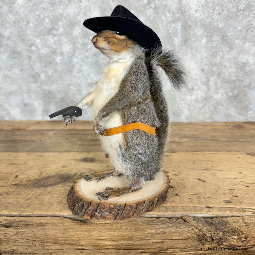 Cowboy Squirrel Novelty Mount For Sale #29484 @ The Taxidermy Store
