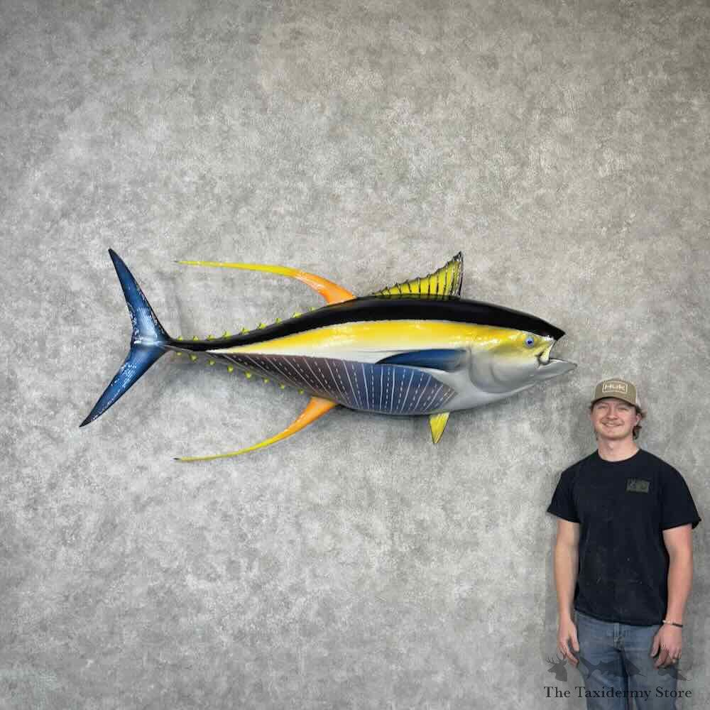 Yellowfin Tuna Fish Mount For Sale #30362 @ The Taxidermy Store